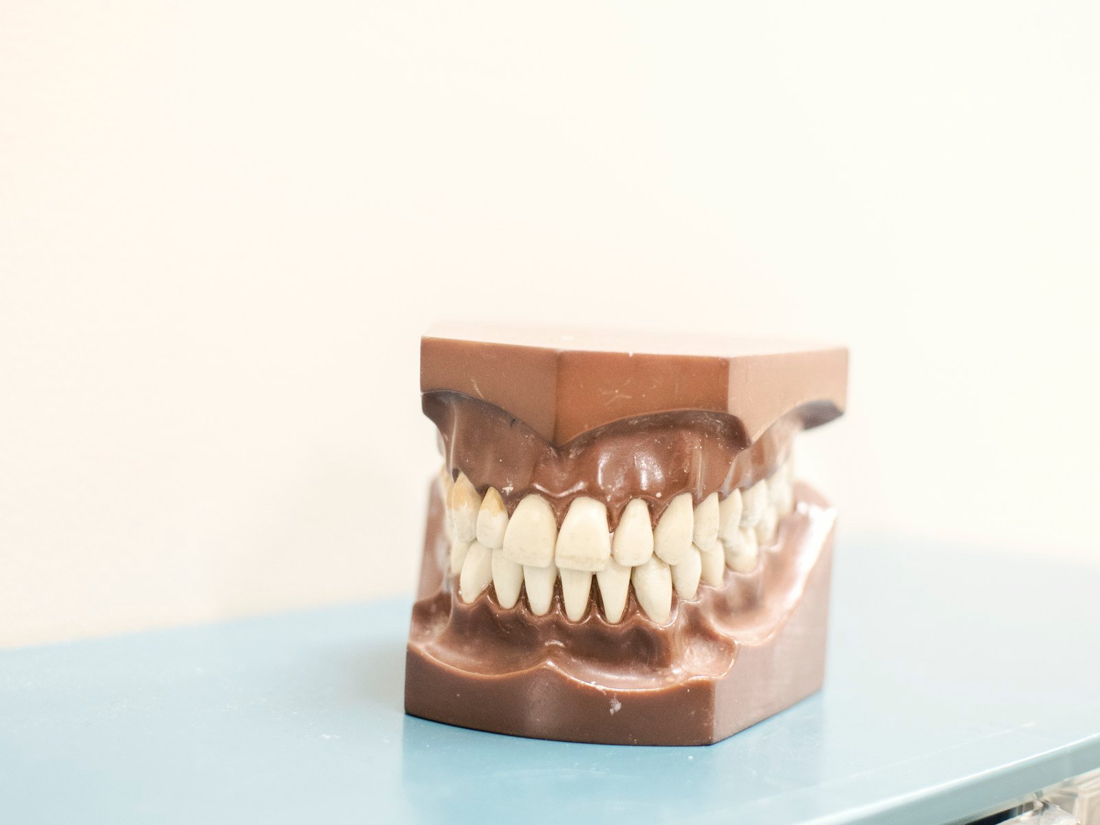 Dental bridge model at Glenrothes Dental House